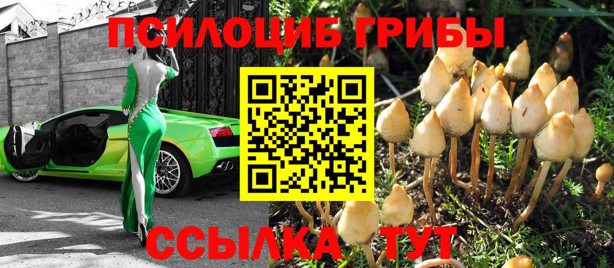 наркота  Вход с VPN  Лесозаводск  Псилоцибиновые грибы GOLDEN TEACHER 