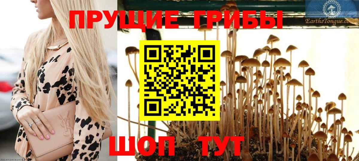 Кокаин Лесозаводск